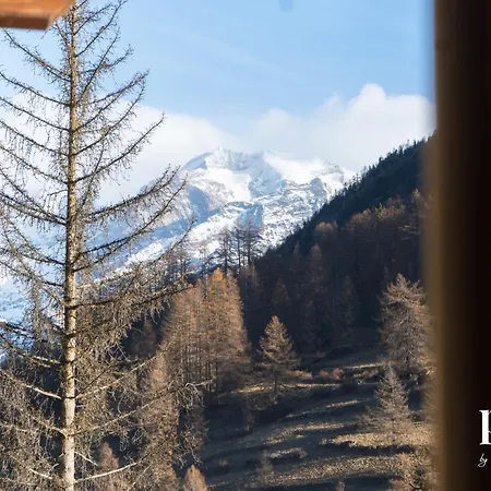 Maison Del Bosco - Poluc Bilocale シャンポルク